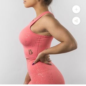 Rose Aurora Crop Top